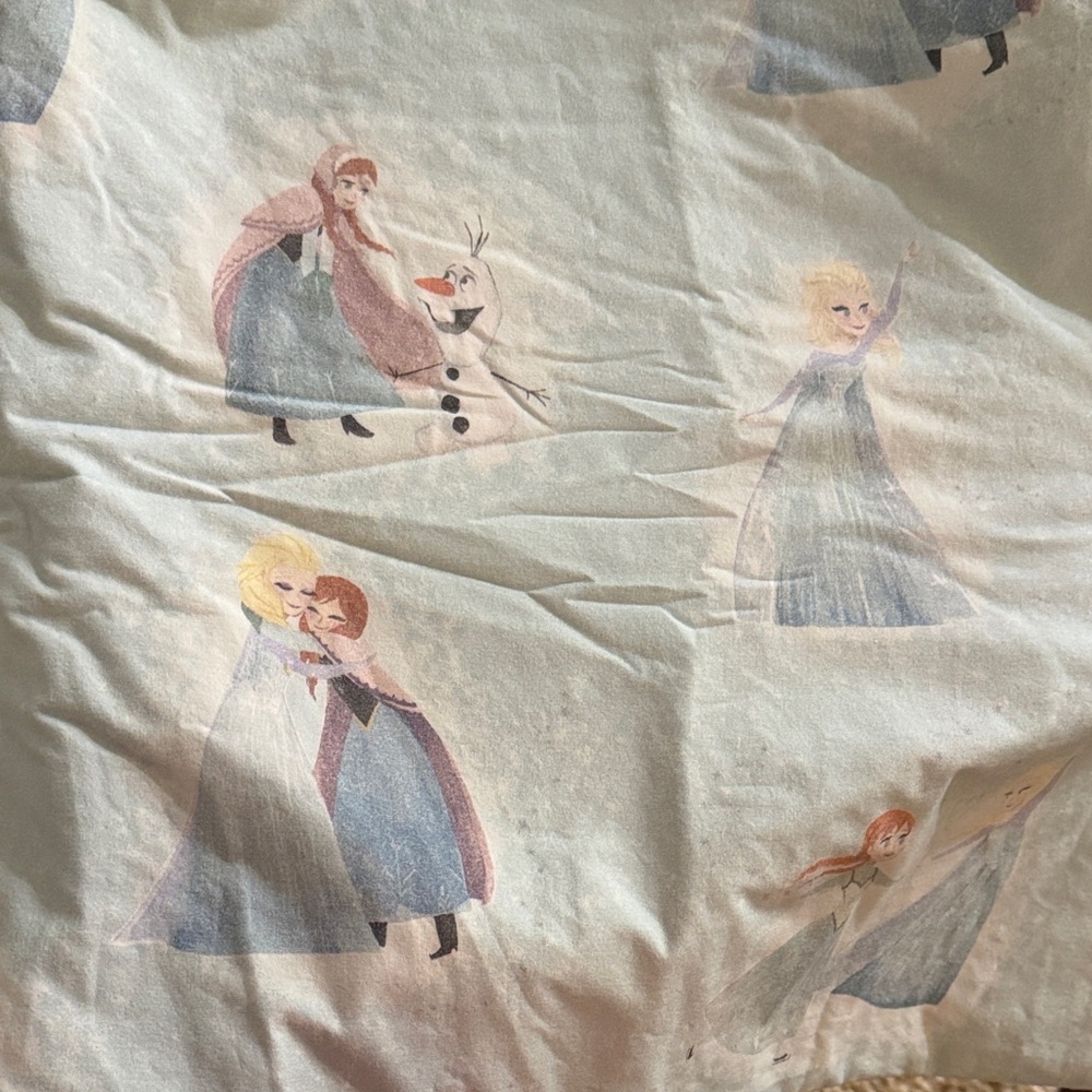 Pottery Barn Kids Frozen Queen Duvet Cover with 2Shams (Blue and White Accent)